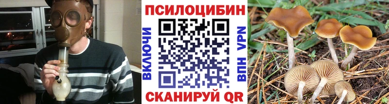 Псилоцибиновые грибы GOLDEN TEACHER  Аша 