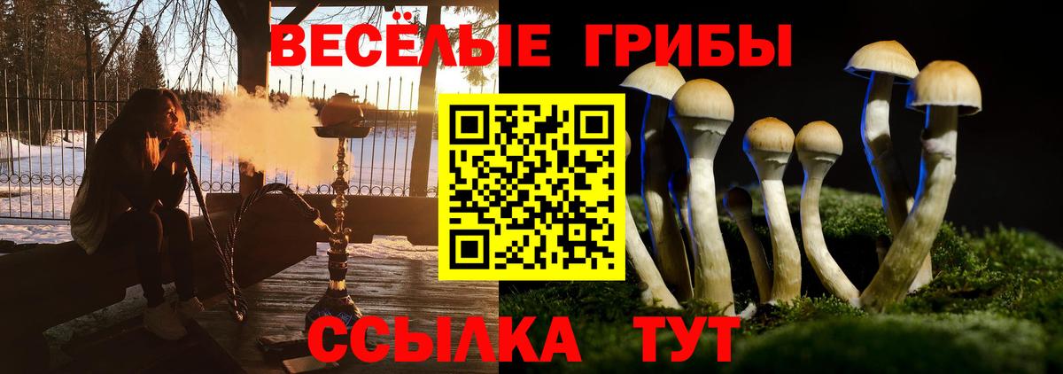 Галлюциногенные грибы мухоморы  Аша 