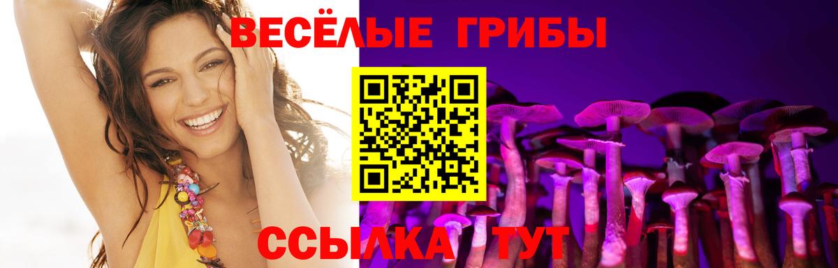 Галлюциногенные грибы Psilocybine cubensis  Вход с VPN  Аша 