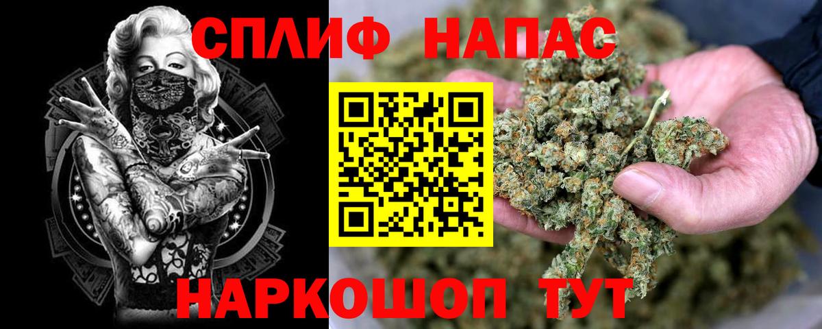 Каннабис гибрид  Вход с VPN  Аша  МАРИХУАНА семена 